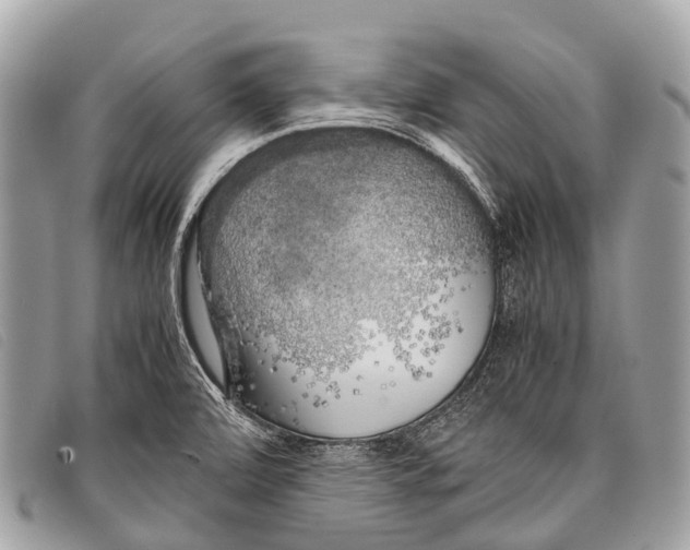 X0000097861472200804111140