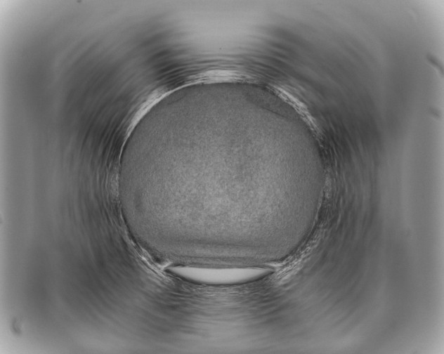 X0000097861473200804111140