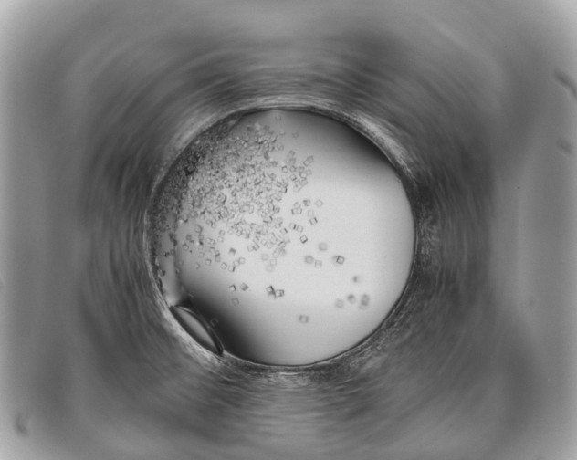 X0000097861476200804111140