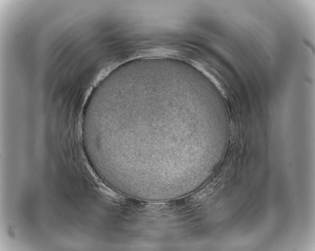 X0000097861477200804111140