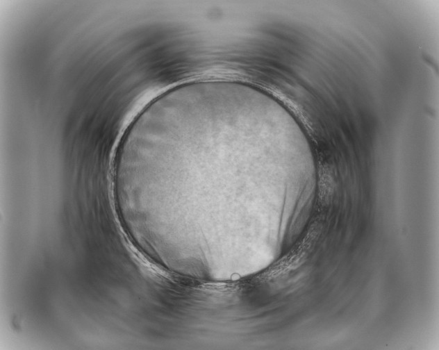 X0000097861478200804111140