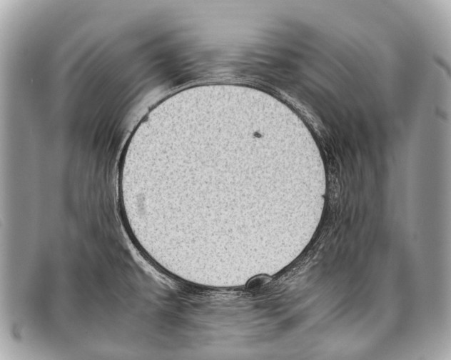 X0000097861479200804111140