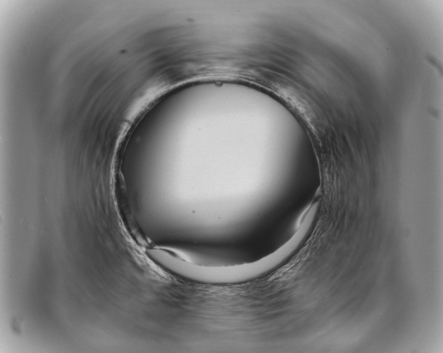 X0000097861480200804111140