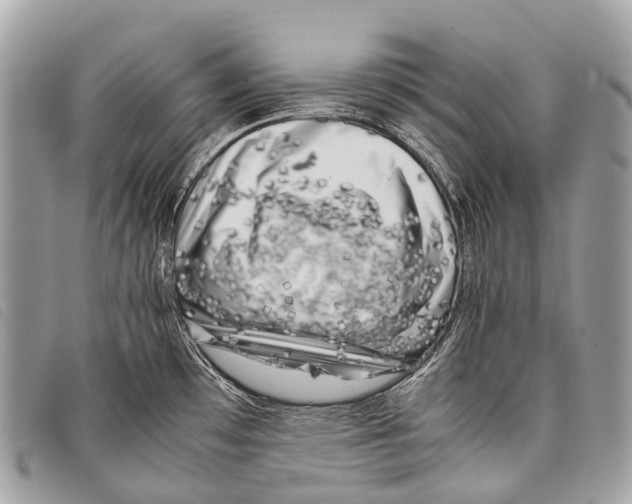 X0000097861481200804111140