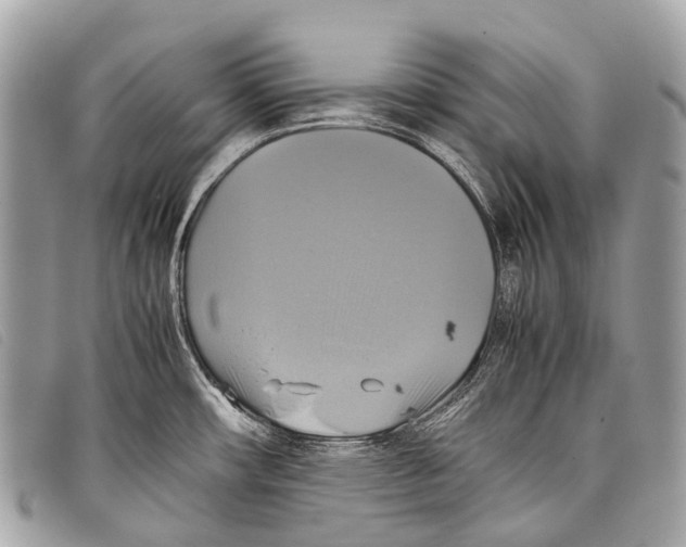 X0000097861482200804111140