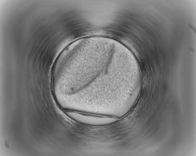 X0000097861483200804111140