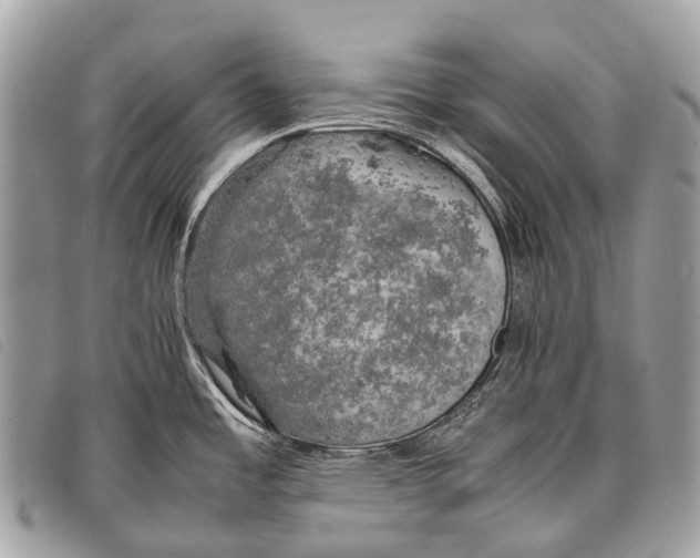 X0000097861485200804111140