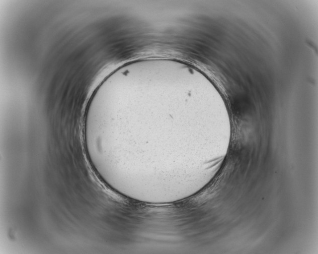 X0000097861486200804111140