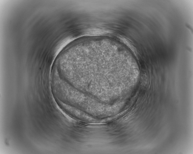 X0000097861487200804111140