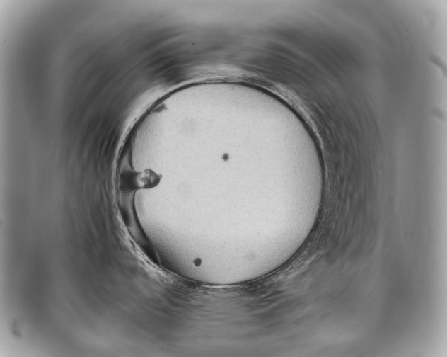 X0000097861488200804111140