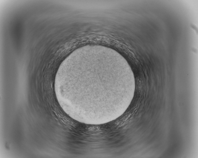 X0000097861489200804111139