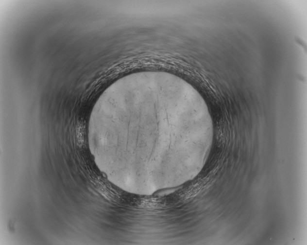 X0000097861490200804111139