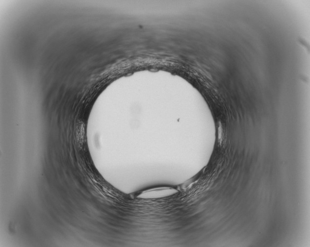 X0000097861492200804111139