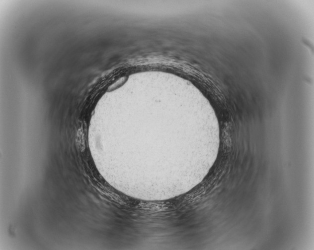 X0000097861493200804111139