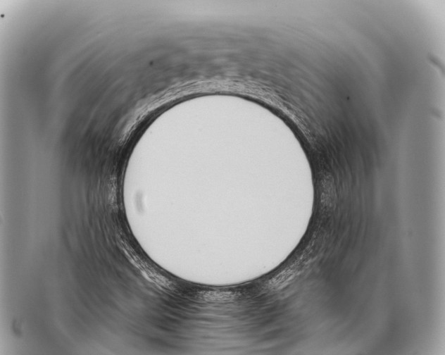 X0000097861499200804111139