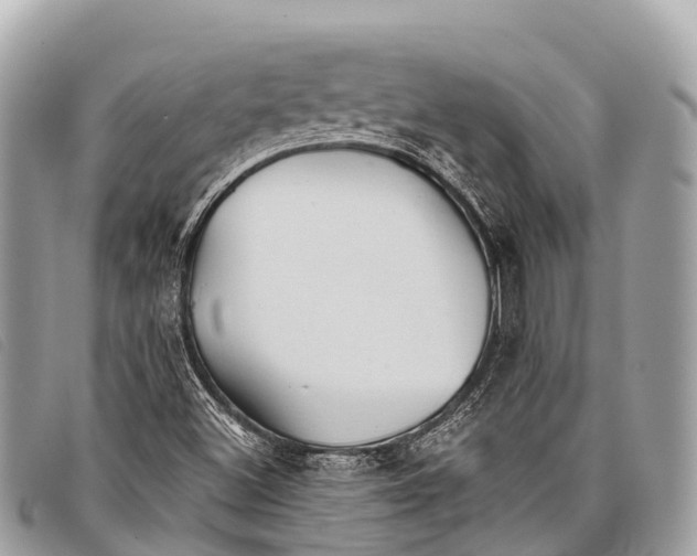 X0000097861500200804111139