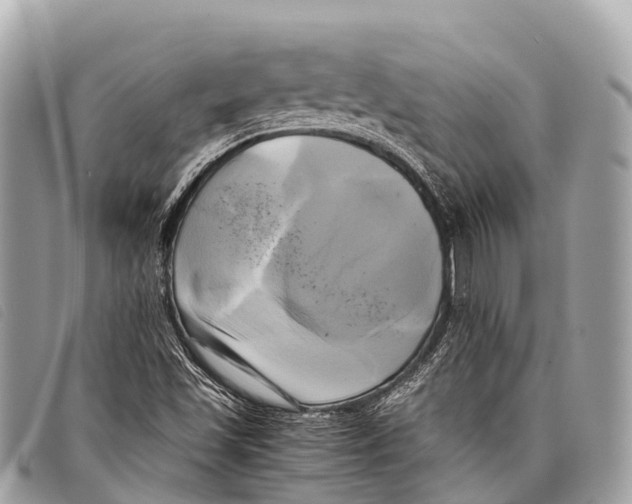 X0000097861501200804111139