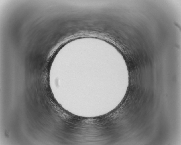 X0000097861502200804111139