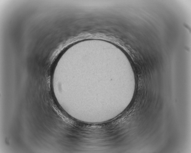 X0000097861503200804111139