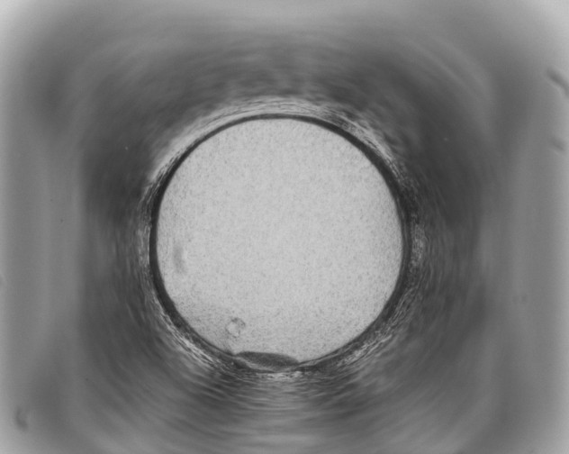 X0000097861504200804111139