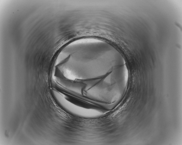 X0000097861505200804111139