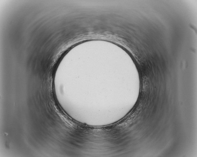 X0000097861507200804111140