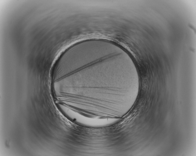 X0000097861508200804111140