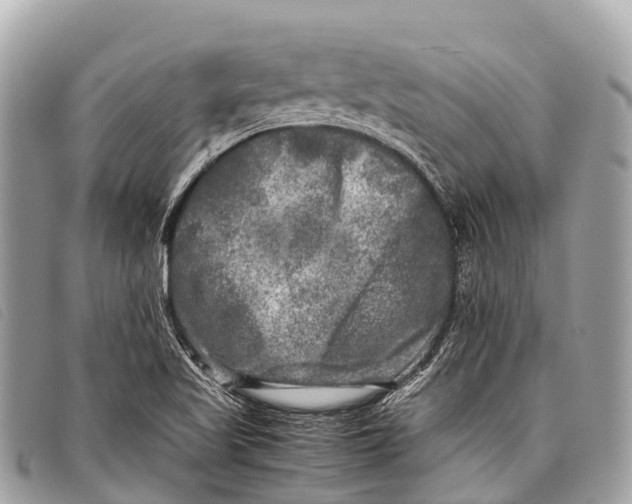 X0000097861509200804111140