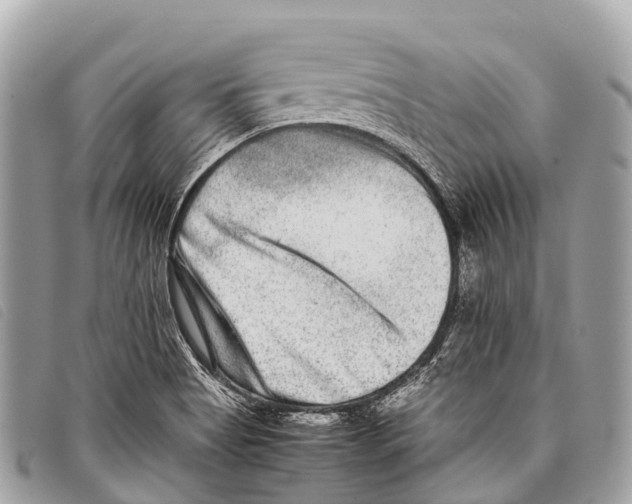 X0000097861513200804111140