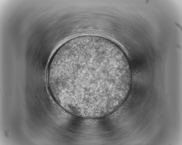 X0000097861514200804111140