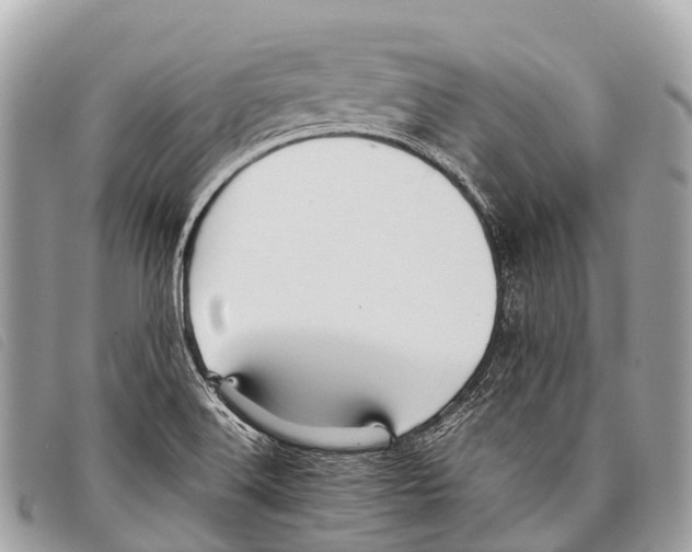 X0000097861516200804111140