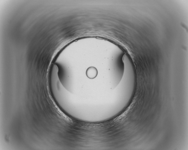 X0000097861517200804111140