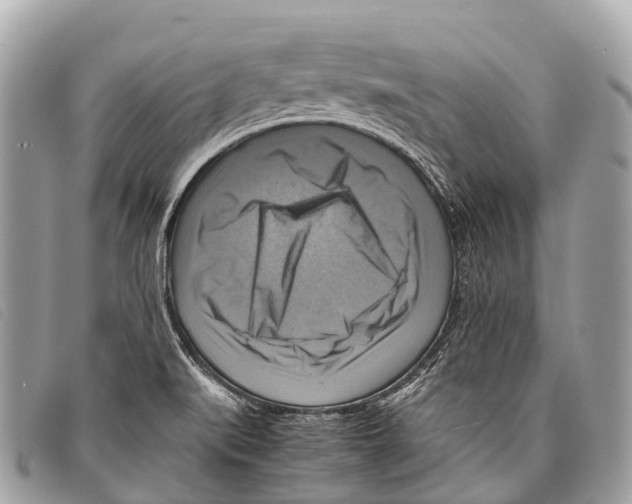 X0000097861519200804111140