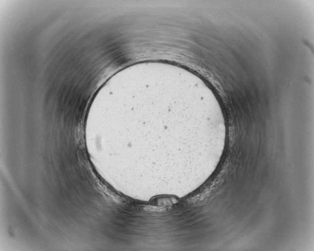 X0000097861521200804111140