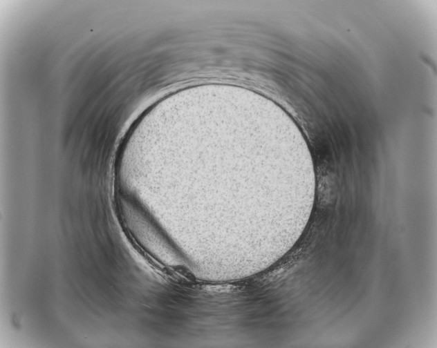 X0000097861523200804111140