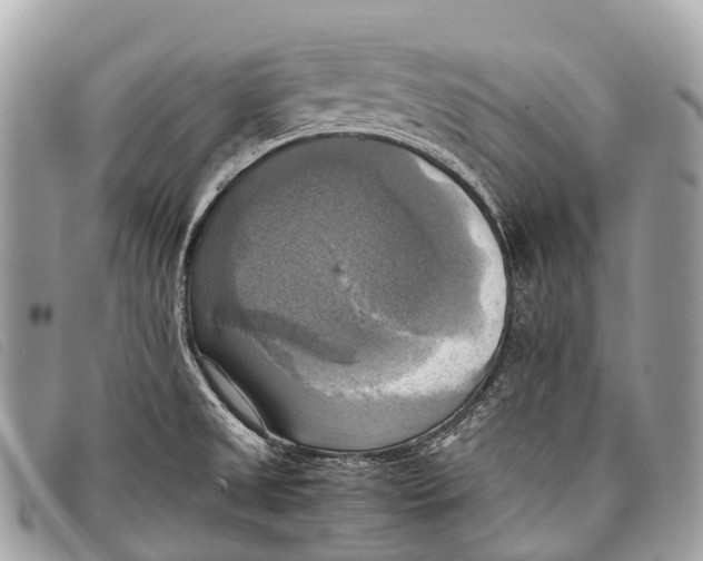 X0000097861525200804111140