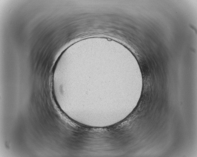 X0000097861526200804111140