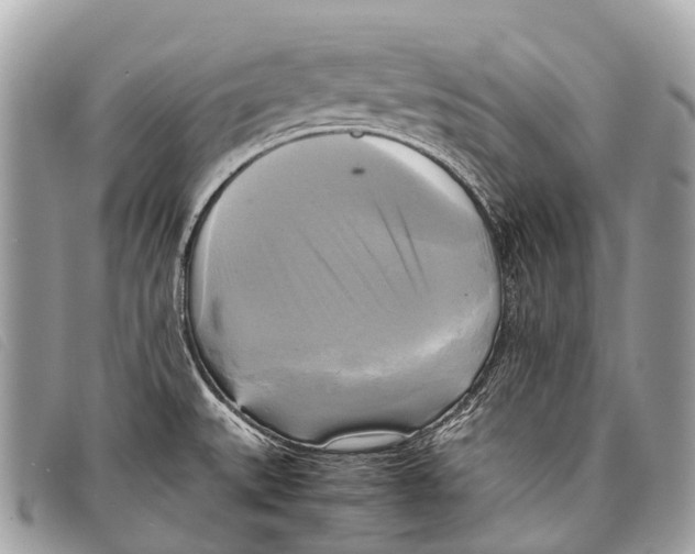 X0000097861527200804111140