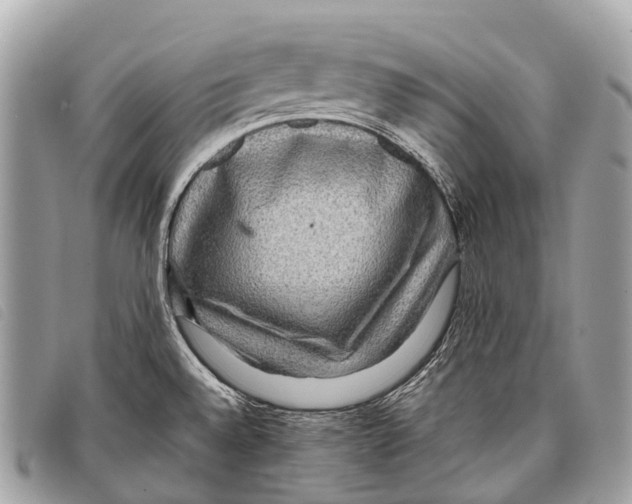 X0000097861528200804111140