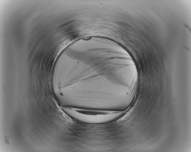 X0000097861529200804111140