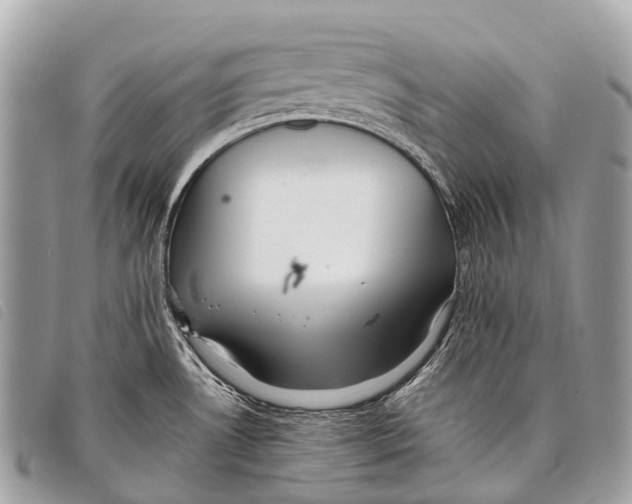 X0000097861530200804111140