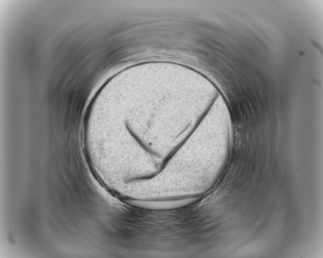 X0000097861531200804111140