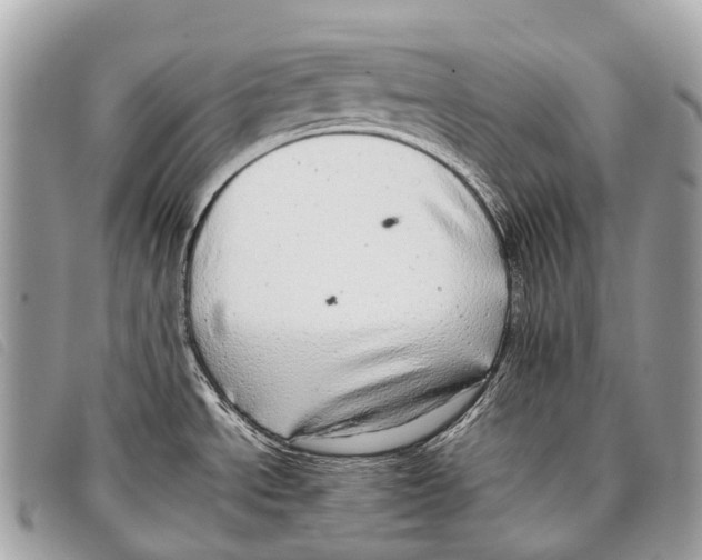 X0000097861534200804111140