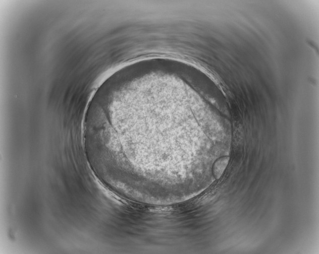 X0000097861535200804111140