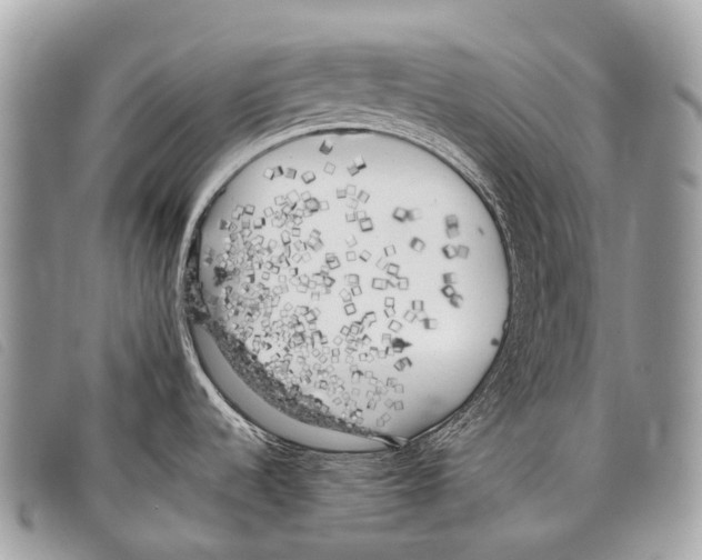 X0000097861536200804111140