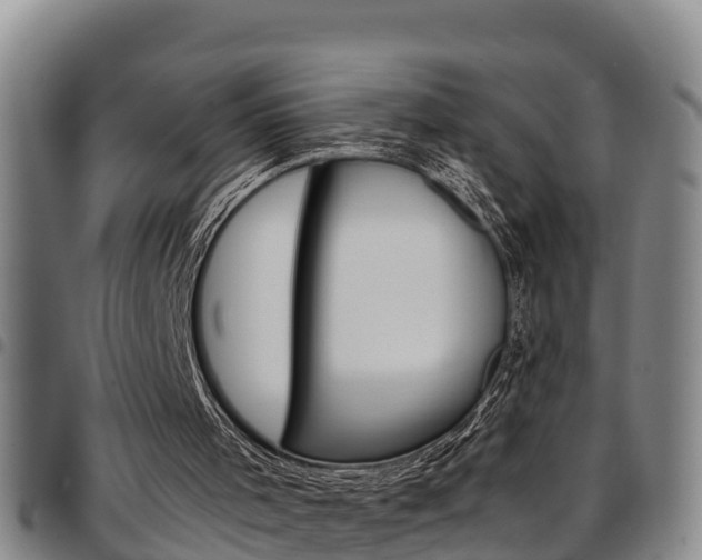 X0000097870001200803140928