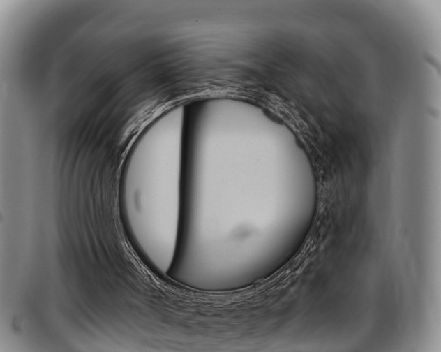 X0000097870002200803140928