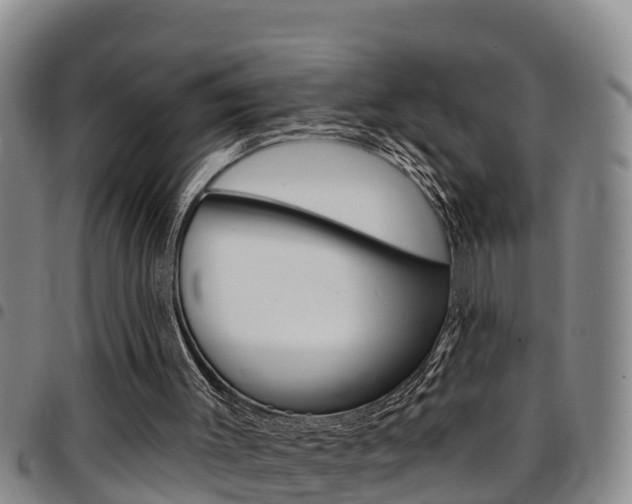 X0000097870003200803140928