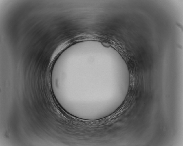 X0000097870004200803140928