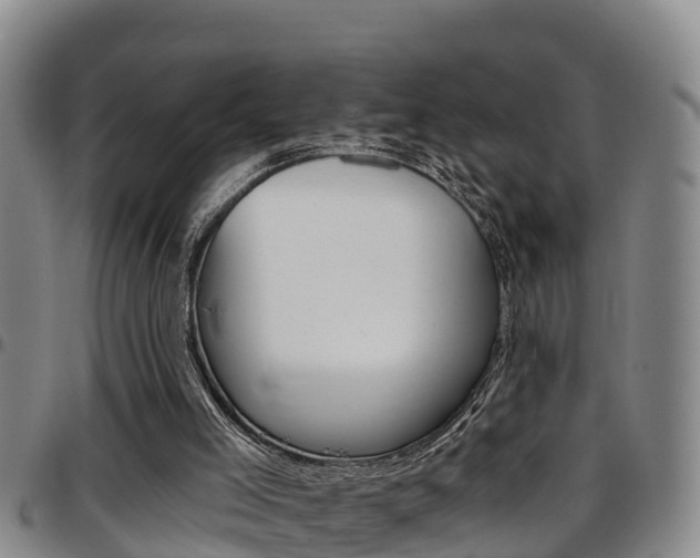 X0000097870005200803140928